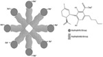 SOLID MICELLAR COMPOSITIONS OF CANNABINOID ACIDS