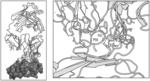 ANTI-TIM-3 ANTIBODIES