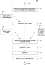 METHODS FOR INCREASING OBSERVED EDITING IN BACTERIA