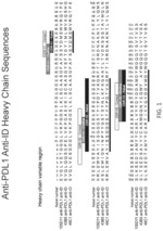 Idiotypic antibodies against anti-PD-L1 antibodies and uses thereof