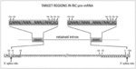 ANTISENSE OLIGOMERS FOR TREATMENT OF AUTOSOMAL DOMINANT MENTAL RETARDATION-5 AND DRAVET SYNDROME