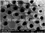 Method for nano powder loading into micro-capillary mold