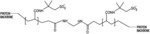 Modified biopolymers for diversion, conformance, and fluid loss control