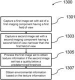 Processing images to obtain environmental information