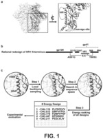 Compositions and Methods Related to HIV-1 Immunogens