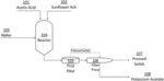 ORGANIC POTASSIUM COMPOSITIONS DERIVED FROM PLANT ASH