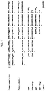 Monoclonal antibodies to progastrin and their uses
