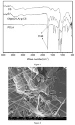 Preparation method for polylactic acid grafted chitosan nanowhiskers