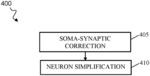 Simplification of neural models that include arborized projections