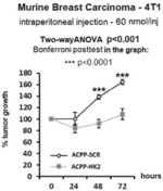 PEPTIDES WITH ANTI-TUMOR ACTIVITY