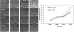 COLLOIDOSOMES AND POROUS MATERIALS BY PICKERING EMULSIONS