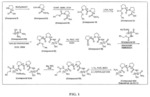 PROCESS AND INTERMEDIATES FOR SYNTHESIS OF PEPTIDE COMPOUNDS