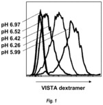 Method of identifying a P-selectin glycoprotein ligand-1 (PSGL-1) antagonist