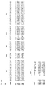 Modified antigen binding polypeptide constructs and uses thereof