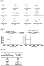 Bisulfite-free, base-resolution identification of cytosine modifications