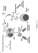 Self-assembled particles for targeted delivery of immunomodulators to treat autoimmunity and cancer