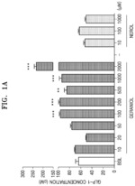 Method for screening for diabetes mellitus therapeutic agents