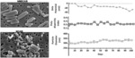 Antiviral prodrugs and nanoformulations thereof