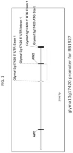 Use of the soybean sucrose synthase promoter to increase plant seed lipid content