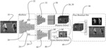 System for estimating a pose of one or more persons in a scene