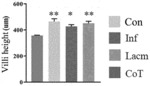 Application of breast milk-derived Lactobacillus reuteri in regulating maternal and infant immune function