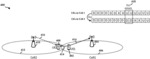 TIMING SYNCHRONIZATION FOR INTERCELL UE TO UE CROSS LINK INTERFERENCE MEASUREMENT