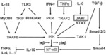 Use of short chain fatty acids for the treatment and prevention of diseases and disorders