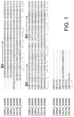 ISOLATED PEPTIDE, ANTI-CANCER MEDICINAL COMPOSITION INCLUDING THE SAME AND METHOD OF SPECIFICALLY REDUCING OR INHIBITING ACTIVITIES OF CANCER CELLS USING THE SAME