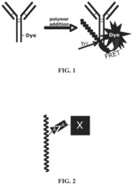 Reagents for directed biomarker signal amplification