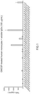 Anti-Dectin-2 Antibodies