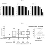 METHOD FOR DETECTING THE METHYLATION OF COLORECTAL-CANCER-SPECIFIC METHYLATION MARKER GENES FOR COLORECTAL CANCER DIAGNOSIS