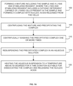 Methods of performing nucleic acid stabilization and separation