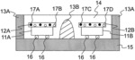 Light emitting element with particular phosphors