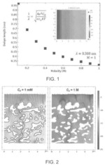 ASSAY FOR FILTRATION OF SUSPENDED PARTICLES IN MICROPOROUS MEMBRANES