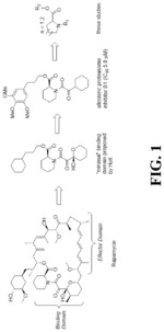 Pipecolic esters for inhibition of the proteasome