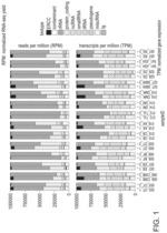 Methods of treating glioblastoma in a subject informed by exosomal RNA signatures