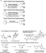 METHODS OF CARBON-CARBON BOND FRAGMENTATION