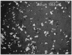 PLINABULIN COMPOSITIONS