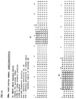 METHODS FOR TREATING OSTEOARTHRITIS PAIN BY ADMINISTERING A NERVE GROWTH FACTOR ANTAGONIST AND COMPOSITIONS CONTAINING THE SAME