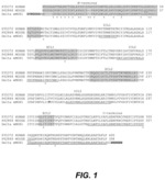 Opioid receptor binding agents and uses thereof