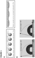 Photochromic water harvesting platform