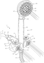 SHOWERHEAD ASSEMBLY WITH DUAL NOZZLE MOUNT