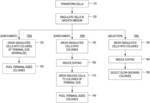 DETECTION OF NUCLEASE EDITED SEQUENCES IN AUTOMATED MODULES AND INSTRUMENTS