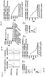 Agents that modulate immune cell activation and methods of use thereof