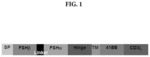 METHODS AND COMPOSITIONS FOR TREATING CANCER