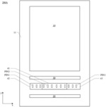 DISPLAY SUBSTRATE AND DISPLAY PANEL