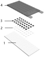 Array type paper chip for 2019-nCoV virus high-throughput detection and manufacturing method of array type paper chip