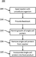 PROTEIN-CONTAINING COMPOSITIONS