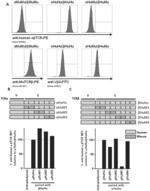 MODIFIED IMMUNE RECEPTOR CONSTRUCTS