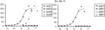 ANTI-INTEGRIN ANTIBODIES AND USES THEREOF